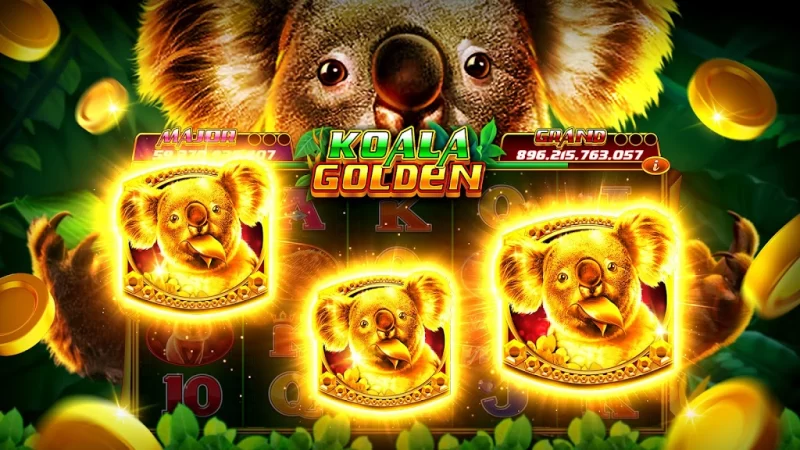 cakhia tv - Hướng dẫn xử lý lỗi kết nối website